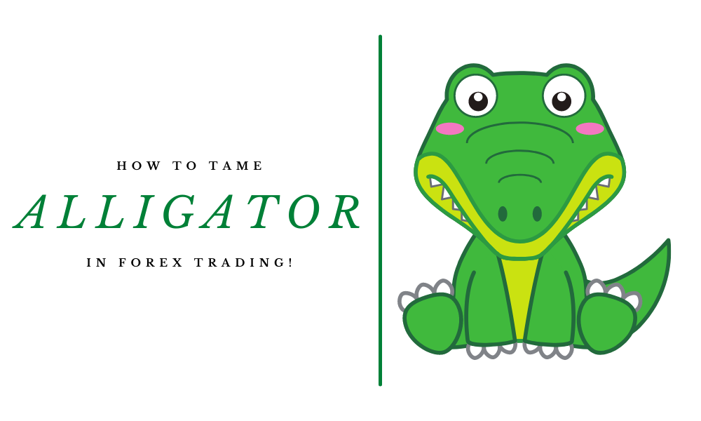 How To Tame An Alligator In Forex Trading?